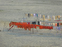 Linge au borddu fleuve  -Agra - Inde